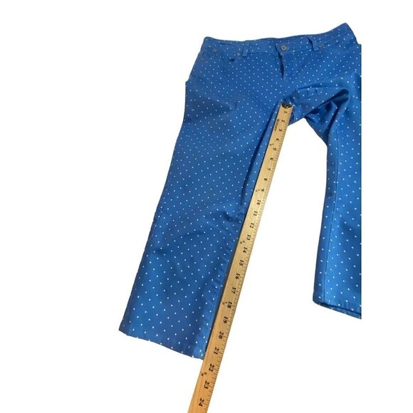 Talbots Signature Slim Crop Blue and White Polka Dots Pants Size 6P/28 - Picture 5 of 9
